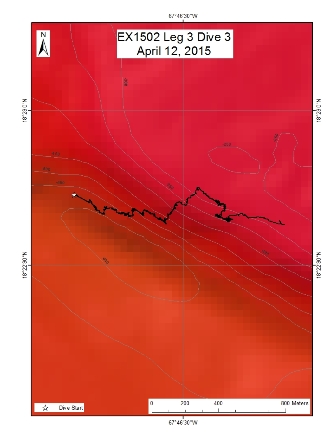 Dive Track