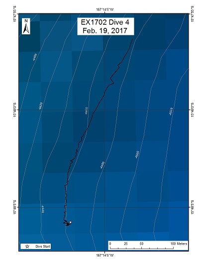 Dive Track