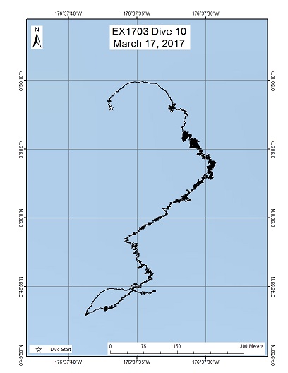 Dive Track