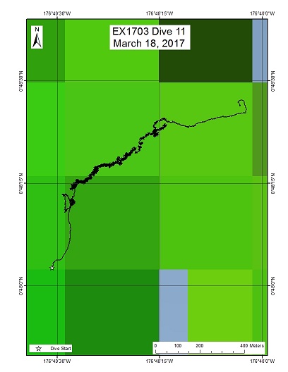 Dive Track