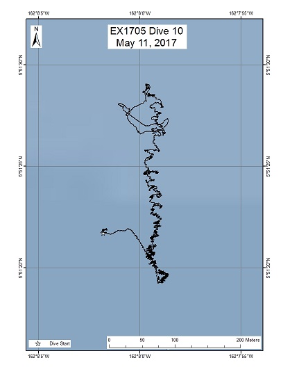 Dive Track