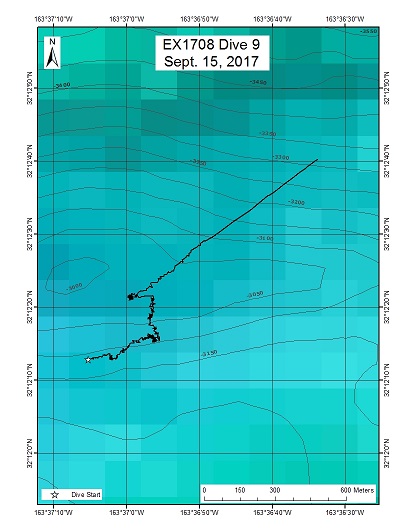 Dive Track