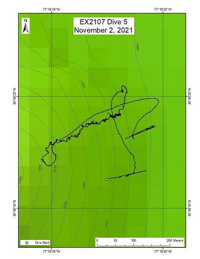 Dive Track